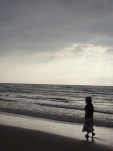 音無美紀子の経歴や評価！料理のレシピが凄い！受賞した作品について！