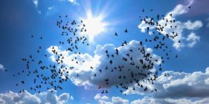 岡江久美子の持病や病歴は？夫の大和田獏やのコメントは？お別れの会はいつ？