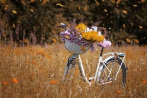 伊藤のぞみのwikiプロフや年収！看護師から競輪へ転職の理由！結婚する彼氏は？