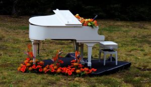 伊藤詩乃(東京音大生)のwikiプロフやピアノの実力！出身高校はどこ？