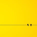 大平祥生のプロフ(身長や誕生日)！格好良いけど彼女や兄弟はいる？